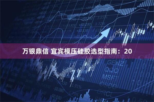 万银鼎信 宜宾模压硅胶选型指南：20