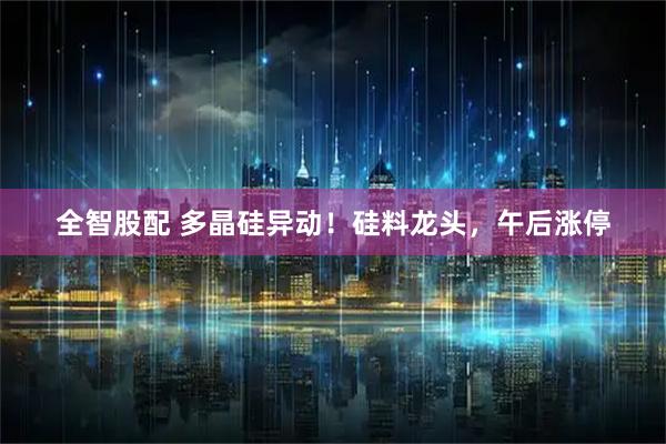 全智股配 多晶硅异动！硅料龙头，午后涨停